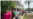16x9 Image