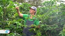 Mujeres le dan un nuevo significado al café “hecho en Costa Rica”