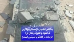 به آتش کشیدن آرامستان بهائیان در اهواز و قطع درختان آن؛ جزئیات در گفتگو با سیمین فهندژ