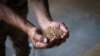 FILE - A farmer holds wheat in a granary on a private farm in Zhurivka, Kyiv region, Ukraine, Aug. 10, 2023. 