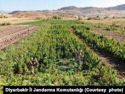 Drug operation Diyarbakir