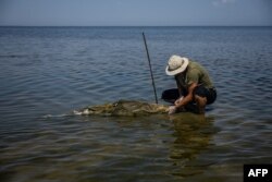 Scientist Ivan Roussev examines a dead dolphin at the Limans Tuzly Lagoons National Nature Park, near the village of Prymorske on August 28, 2022, amid the Russian invasion of Ukraine. Ivan Roussev has been keeping a logbook of the effects of the war on nature, but has made a worrying count: the number of dolphin corpses he finds has exploded.