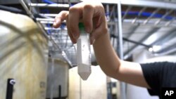 FILE - Dave Hoffman of West Virginia University's Water Research Institute holds up a vial of light rare earth oxides at a facility that separates them from acidic groundwater draining from an abandoned coal mine, June 25, 2024, in Mount Storm, W.Va. 