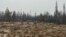 Damage from the wildfires is shown on Aug. 15, 2023, between Enterprise and Kakisa, Northwest Territories, Canada.