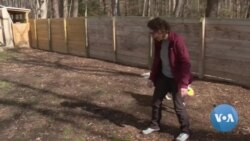 পোষা প্রাণীরা চমৎকার এক ডিভাইসের সাহায্য তাদের ইচ্ছাগুলো প্রকাশ করছে