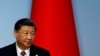 世界媒体看中国：遗憾与喜剧 - 习近平缺席G20峰会