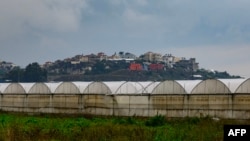 FILE — This picture shows a view of greenhouse farms in Baqa al-Gharbiya, Israel on December 9, 2023.