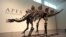 A stegosaurus skeleton is displayed at Sotheby's New York in New York, July 10, 2024. 