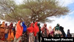 FAAYILII - Namoota qehee isaanii irraa buqahan qarqaarsa eeggachaa jiran, Buufata Higlo, Godee, Naannoo Somaalee, Ebla 26, 2022. 