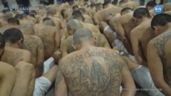 El Salvador’da 2 Bin Çete Üyesi Daha “Mega Cezaevinde” 