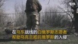 在乌东战线的白俄罗斯志愿者 帮助乌克兰抵抗俄罗斯的入侵