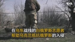 在乌东战线的白俄罗斯志愿者 帮助乌克兰抵抗俄罗斯的入侵