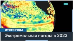 Самый жаркий год за последние 125 тысяч лет