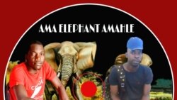 Woza Friday: Sihamba 'lamaElephant Amahle' Ephethe Idlalade Lawo Elitsha