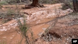 In this photo provided by Shannon Castellano, floodwaters, which washed away a bridge to a campground, flow through the Havasupai Indian Reservation in Arizona on March 17, 2023.