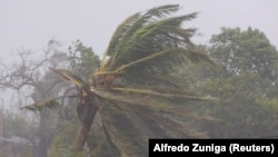 Branches of trees sway as cyclone Freddy hits, in Quelimane, Zambezia, Mozambique, March 12, 2023, in this screen grab taken from a handout video. UNICEF Mozambique/2023/Alfredo Zuniga/Handout via REUTERS