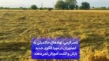 ناصر کرمی: نهادهای حاکمیتی به کشاورزان در مورد الگوی جدید بارش و کشت آموزش نمی‌دهند