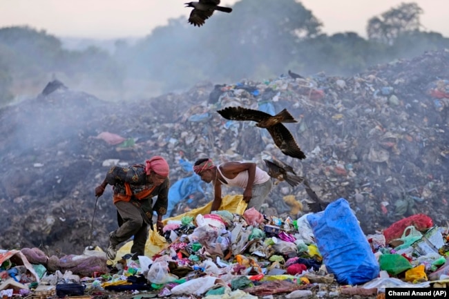 Waste pickers Salmaa and Usmaan Shekh, right, search for recyclable materials during a heat wave at a garbage dump on the outskirts of Jammu, India, Wednesday, June 19, 2024. (AP Photo/Channi Anand)