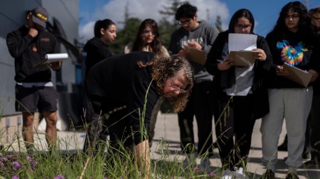 US Community Colleges Offer Clean Energy Training