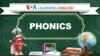 Early Literacy: Letter-sound Connection (Phonics)