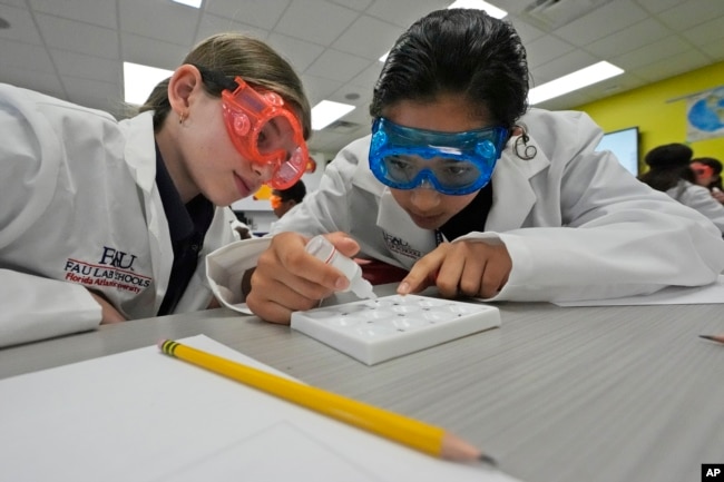 Twelve-year-olds Emma Starkman, left, and Jianna Landazabal-Echeverri test fake neurotoxins to determine which ailments afflicted their imaginary patients. (AP Photo/Wilfredo Lee)