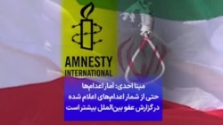 مینا احدی: آمار اعدام‌ها حتی از شمار اعدام‌های اعلام شده در گزارش عفو بین‌الملل بیشتر است