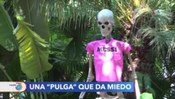 La messimanía inspira el Halloween en el Sur de la Florida