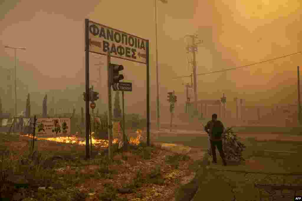 A local resident walks towards fire with a branch to use it to put out the flames during a wildfire near Penteli, Greece.&nbsp;Greece&#39;s civil protection authorities ordered the evacuation of several towns in the north-eastern suburbs of Athens, threatened by a violent fire that started the day before and is spreading.