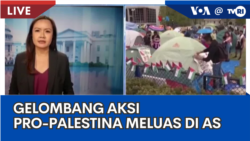 Laporan VOA untuk TVRI: Gelombang Aksi Pro-Palestina Meluas di AS