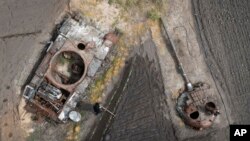 A man plants sunflowers in his garden near a damaged Russian tank and its turret in the village of Velyka Dymerka, Kyiv region, Ukraine, May 17, 2023.