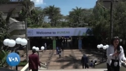 Changement climatique, biodiversité, pollution : l'ONU se mobilise à Nairobi pour sauver la planète