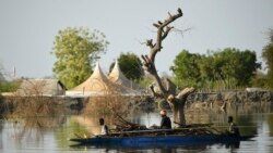 Le Nil suffoque sous les déchets