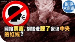 时事大家谈：网络禁言，胡锡进踩了妄议中央的红线？