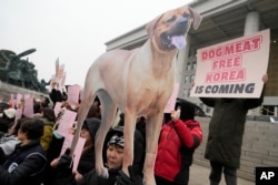 Aktivis hak-hak hewan menghadiri unjuk rasa mendukung UU pelarangan daging anjing yang dipimpin pemerintah di Majelis Nasional di Seoul, Korea Selatan, Selasa, 9 Januari 2024. (Foto: AP)