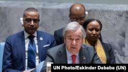 Wêne ji Arşîfê ye