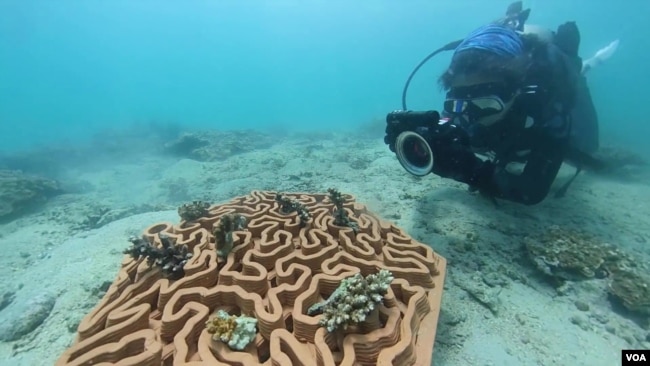 "Reef tiles" for use in restoring the marine environment