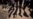 16x9 Image