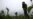 Latest in Ukraine: Battles Inflicting High Casualties on Both Sides