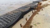 Logs of coconut husk known as coir sit on the bank of the Shark River in Neptune, N.J., Jan. 31, 2023. (AP Photo/Wayne Parry)