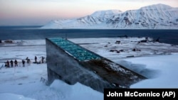 FILE - Snow blows off the Svalbard Global Seed Vault on Feb. 26, 2008. . (AP Photo/John McConnico)