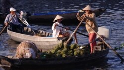 Trung Quốc cảnh báo trái cây xuất khẩu của Việt Nam ‘có sâu bệnh’ | VOA