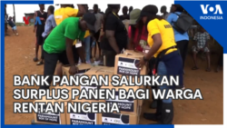 Bank Pangan Salurkan Surplus Panen Bagi Warga Rentan Nigeria
