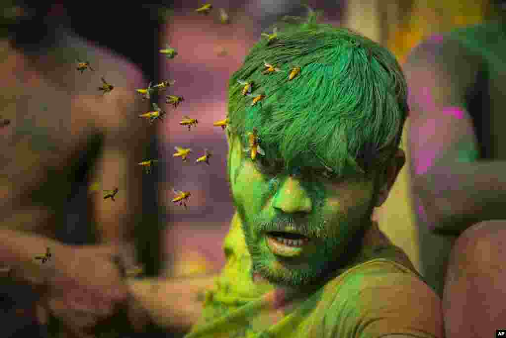 A swarm of bees attack a drunk man during celebrations marking Holi, the Hindu festival of colors, in Guwahati, India.