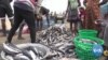 New Rules Aim to Reel in Illegal and Overfishing in Ghana