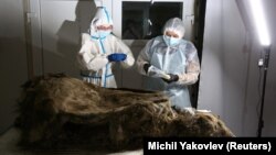 Scientists study the body of a brown bear with the geological age of 3,460 years, in Yakutsk, Russia February 21, 2023. (REUTERS/Michil Yakovlev )