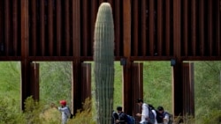 Estados Unidos AL DIA Febrero 28 