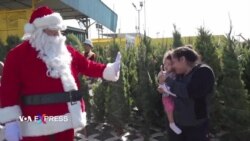 Đổi rác lấy cây thông Noel