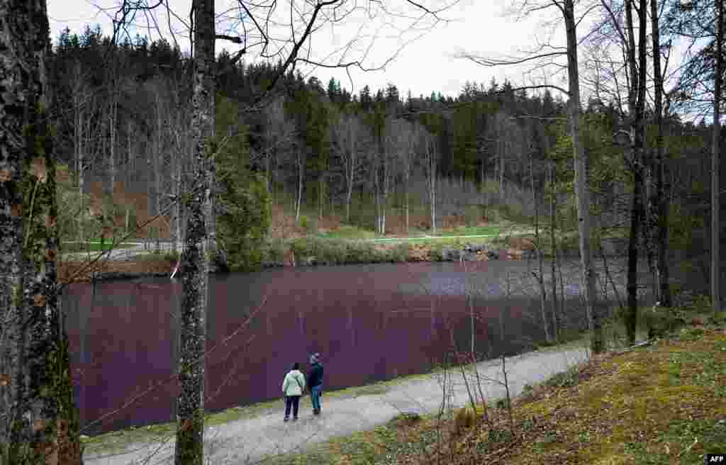 Tourists from Switzerland look at the purple-colored water of the Gipsbruchweiher pond in Fuessen, southern Germany.&nbsp;This phenomenon is caused by purple bacteria, which are harmless but change the color of the water during their bloom. (Photo by Lukas Barth-Tuttas / AFP)