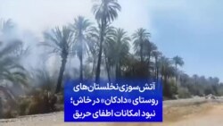 آتش‌سوزی نخلستان‌های روستای «دادکان» در خاش؛ نبود امکانات اطفای حریق