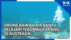 Drone Bawah Air Bantu Pelajari Terumbu Karang di Australia